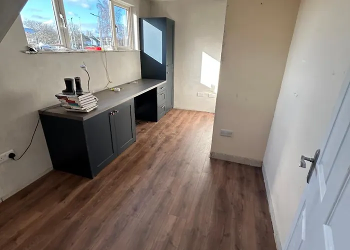 Large In South Dublin